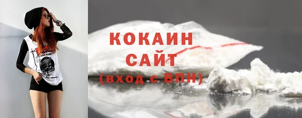 эйфоретик Арсеньев