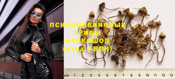 тгк Аркадак