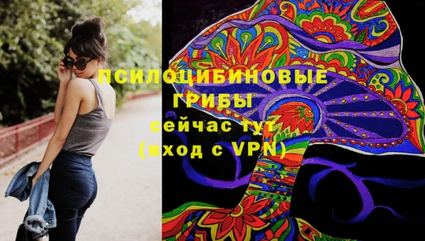 эйфоретик Арсеньев
