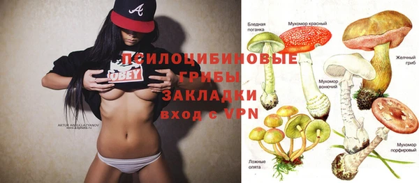 тгк Аркадак