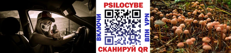 Псилоцибиновые грибы мицелий  сколько стоит  Теберда 